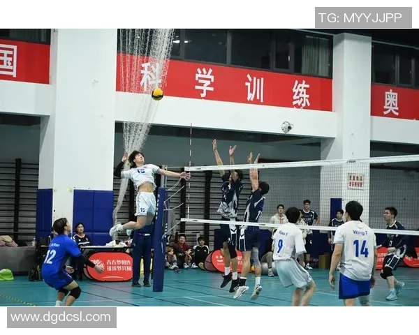 重庆排球队引领最新排球节奏TOP10榜单精彩纷呈的赛季回顾
